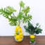 Figurines et sculptures Aveah-132669483