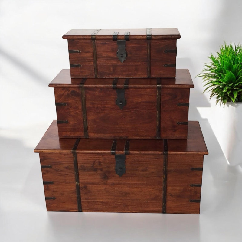 Dilly Trunk Set