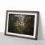 A Magical Forest - Framed Print-55453462-55453465
