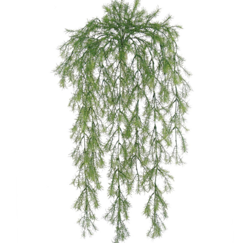 Ensemble de 12 plantes 12 pièces