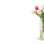 Emeline RealTouch Tulip Arrangement-429801272