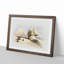 Beside The Great Sphinx Pyramids Of Giza by David Roberts - Single Picture Frame Painting-55466127-55466131