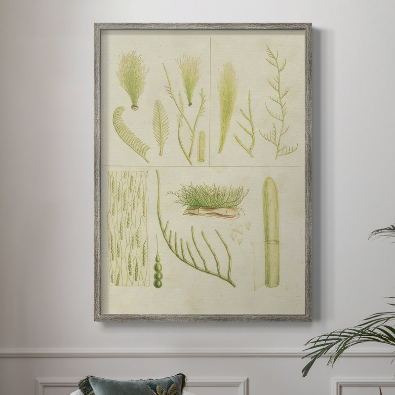 Vintage Sea Grass VI Framed Print - Solid Wood, 30" H x 24" W