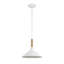 Luminaire suspendu 1 lumière Aleeha en blanc naturel