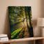 Reproduction d'art sur toile, "Scène de forêt sereine baignée de soleil doré avec rayons"-1032900778