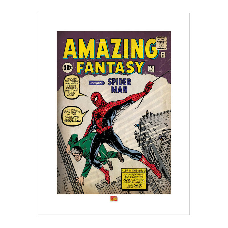 Spider-Man Issue I Poster Graphic Art Print, 80cm H x 60cm W, Paper
