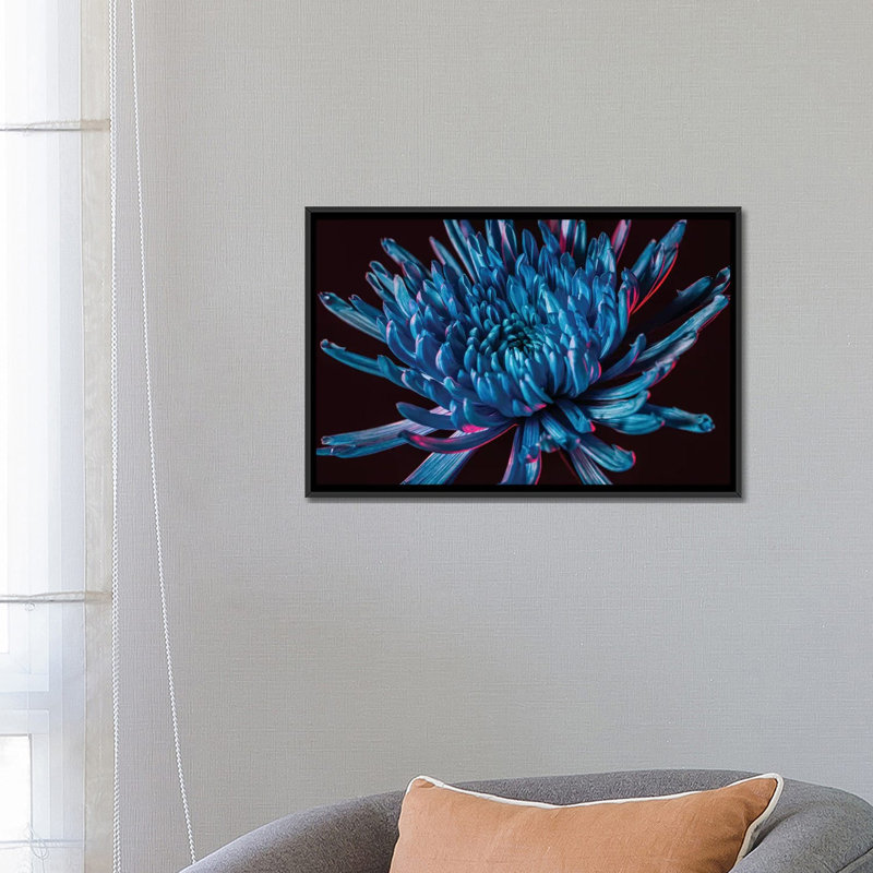 « blue spider mum » par elena kulikova, impression sur toile tendue, H 18 po x l 26 po x P 1,5 po, Toile avec cadre noir