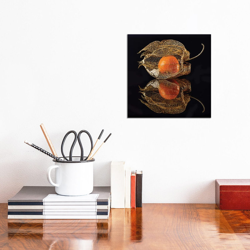 Physalis by Klaus Grosshanten - Wrapped Canvas Gallery-Wrapped Canvas Giclée, 30.48 cm H x 30.48 cm W