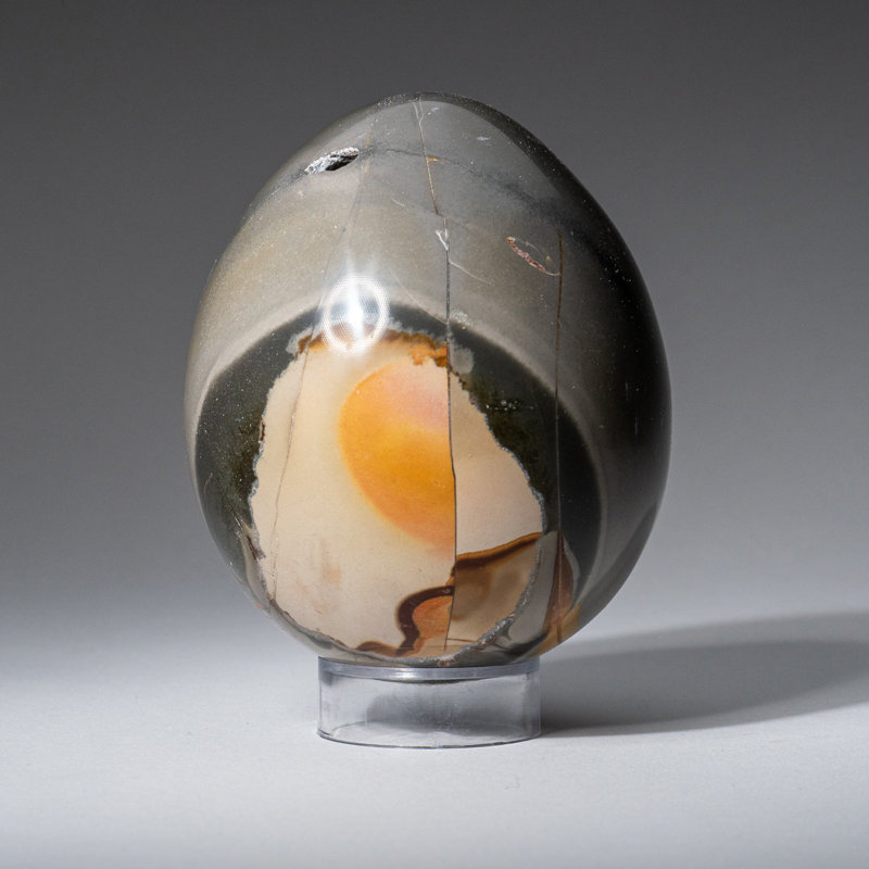 Véritable œuf de jaspe polychrome poli de Madagascar (1,19 lb)