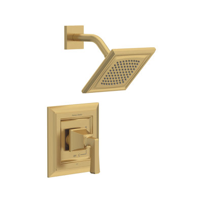 Complete Shower System