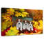 Chiots d'automne Brampt-108722322