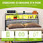 Balconera LED bed frame with headboard, USB ports & charging sockets,no box spring needed-1303083363-1303083360