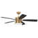 52'' Ceiling Fan with LED Lights