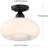 Deontre Glass Semi Flush Mount-1608814916