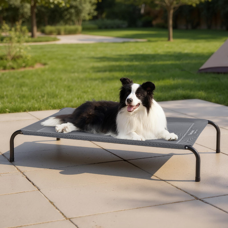 Pet Bed