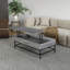 Table basse contemporaine en bois avec base en métal et plateau relevable au look naturel gris - option élégante