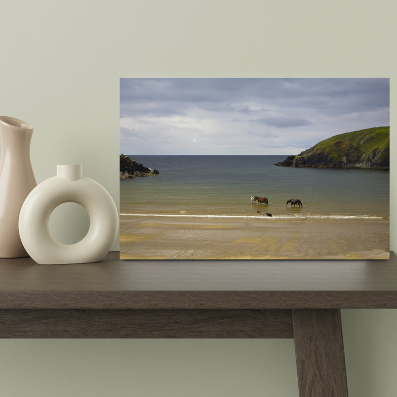 Walking Injured Horse Dunabrattin Cove The Copper Coast County Waterford Ireland by George Munday - Wrapped Canvas Print