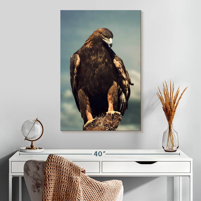 Brampt Regal Golden Eagle, 30" H x 20" W