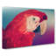 Geometric Scarlet Macaw Parrot in Abstract - Wrapped Canvas-55317388