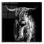 «Hippy Highland Cow» par Epic Portfolio, art mural en verre acrylique-1941429805