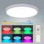 Cherece Acrylic LED Flush Mount