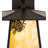 Rustic Lodge Solid Brass Armed Sconce