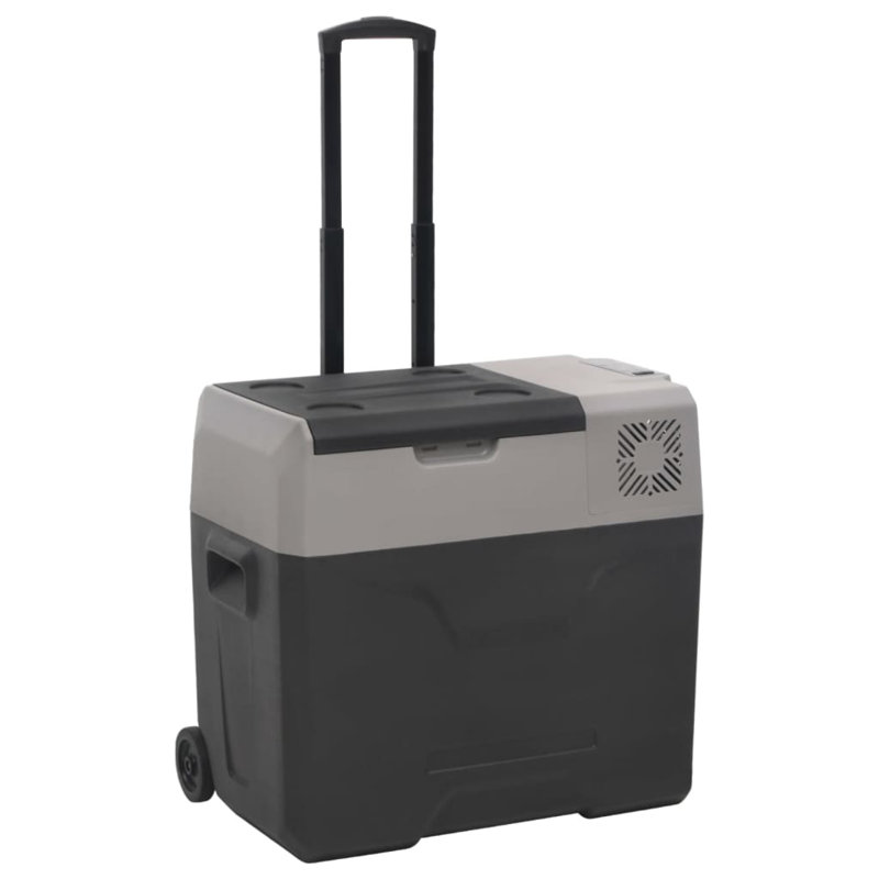 Aviah Dakota Fields 40L Ice Chest with wheels in Black