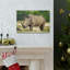 Wall Art on Canvas-992754939