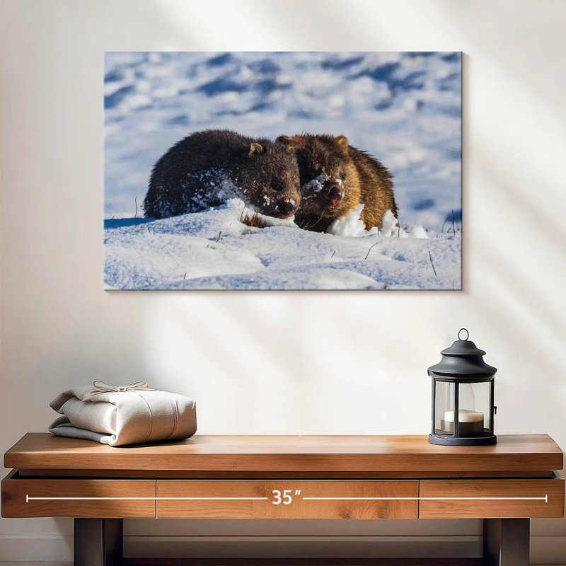 Winter Wombats, H 16 po x l 24 po