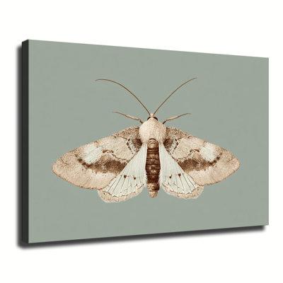 Sépia, papillon rétro, illustration botanique d'insecte, grande impression sur toile tendue pour salon, chambre à coucher