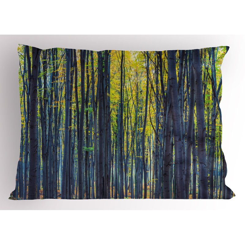 Ensemble de 2 taies décoratives Ambesonne Forest, H 20 po x l 26 po