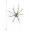 « spider », impression sur toile tendue-22641380-72707429-72707430