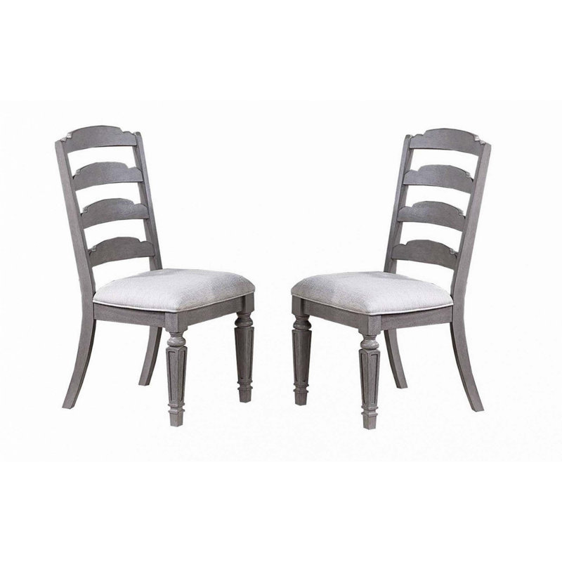 Ensemble de chaises d'appoint style contemporain de 2 pièces