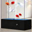 Aquarium 104-114 gallons-129873445
