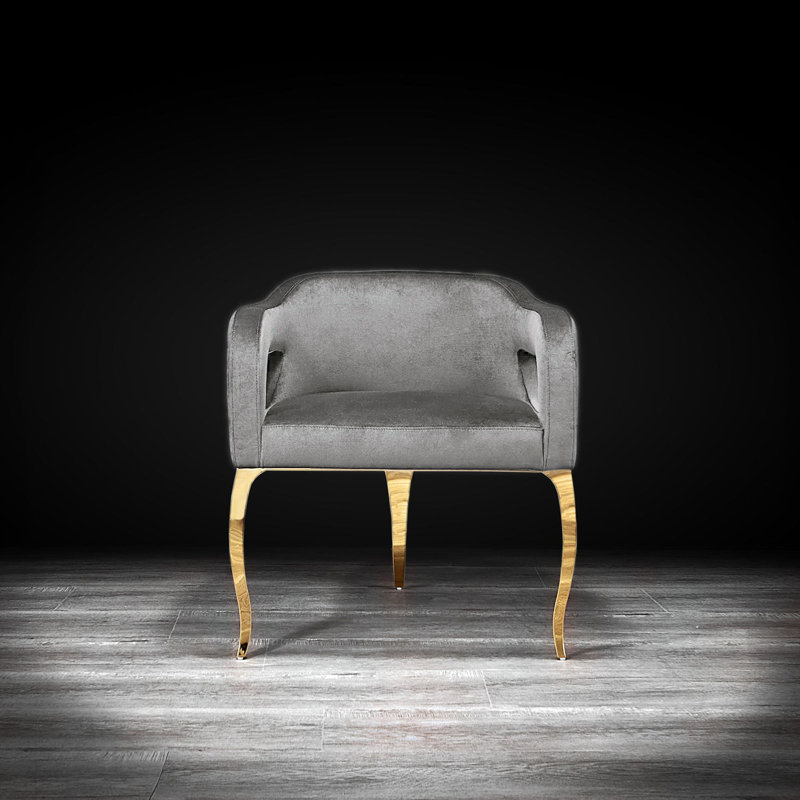 Iseminger 19'' H Velvet Upholstered Armchair, Gray, Titanium Golden