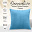 Square Throw Pillow Insert-716795896