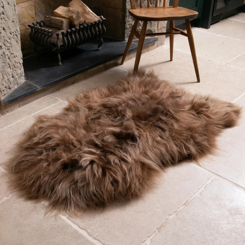 Novelty 60 cm x 90 cm Sheepskin Washable Area Rug, Brown