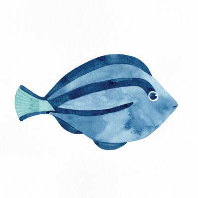Surgeon Fish - Wrapped Canvas Square Art Prints