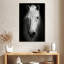 Cheval pur-sang blanc Brampt-106971035