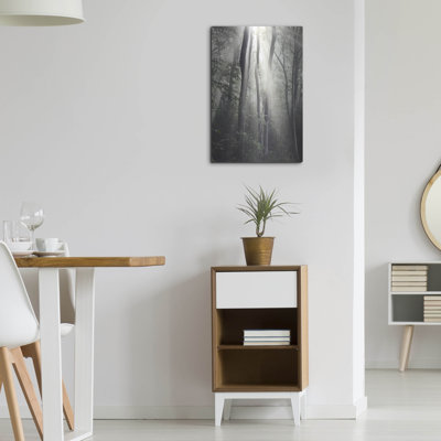 Photographie de Loon Peak® «Woodland Sun» par Nicholas Bell, art mural en métal