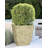 Waqaar Pot Planter-1789711480-1789711486