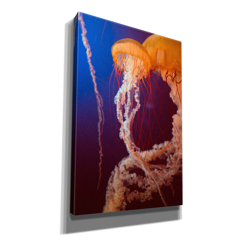 «Jelly 3» par PhotoINC Studio, H 18 po x l 12 po