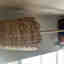 Customer photo 2 of 4