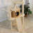 3 Tiers Cat Tree with Condons,Perch,Scratching Posts