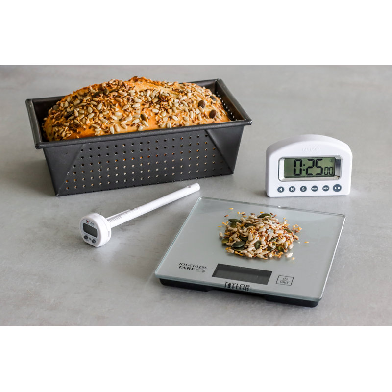 Taylor Pro Digital Scale