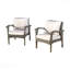 Ensemble 2 pièces fauteuil de patio gris Honolulu
