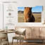 Chevaux Islandais dans la campagne VII-107878754