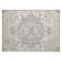 Machine Washable Indoor/Outdoor Chayden ACN985 Rug