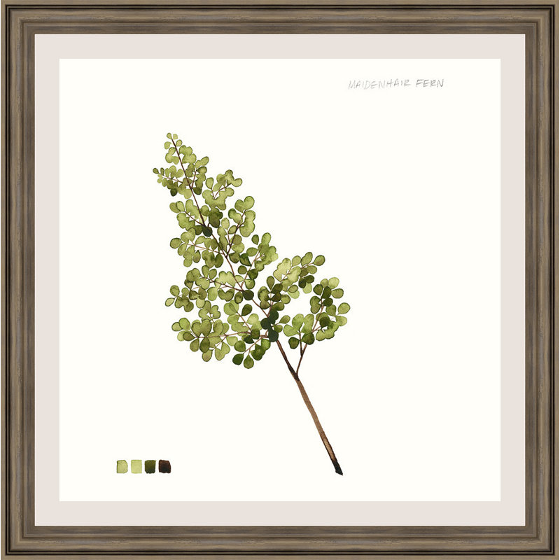 « aquarelle leaf study iii », reproduction de peinture à l’aquarelle encadrée
