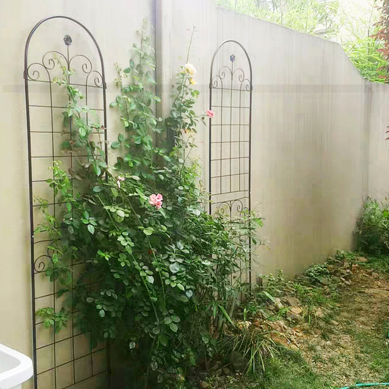 Paquet de 4 treillis de jardin en métal pour plantes grimpantes